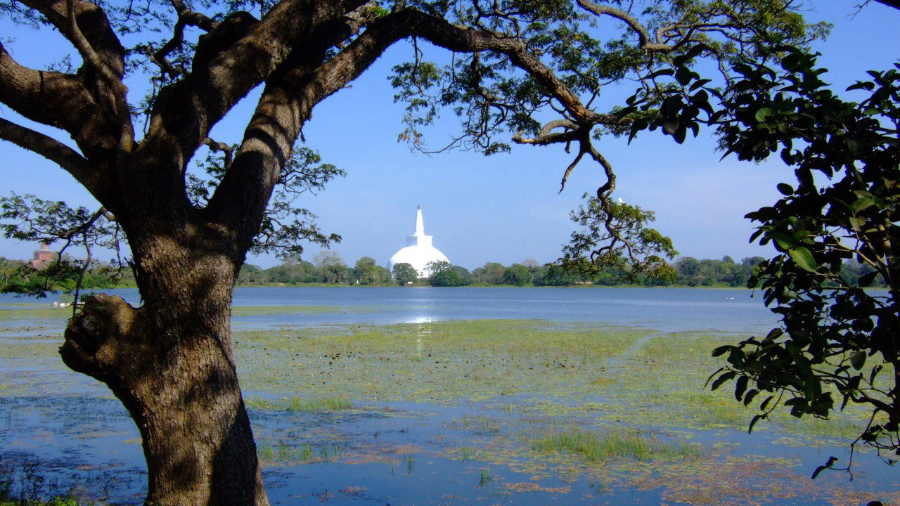 Biglietto d'ingresso all'area sacra di Anuradhapura