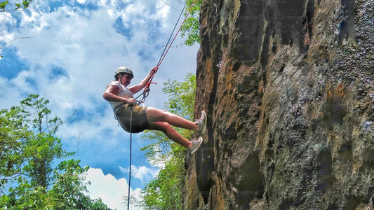 Arrampicata su roccia nella foresta da Horana