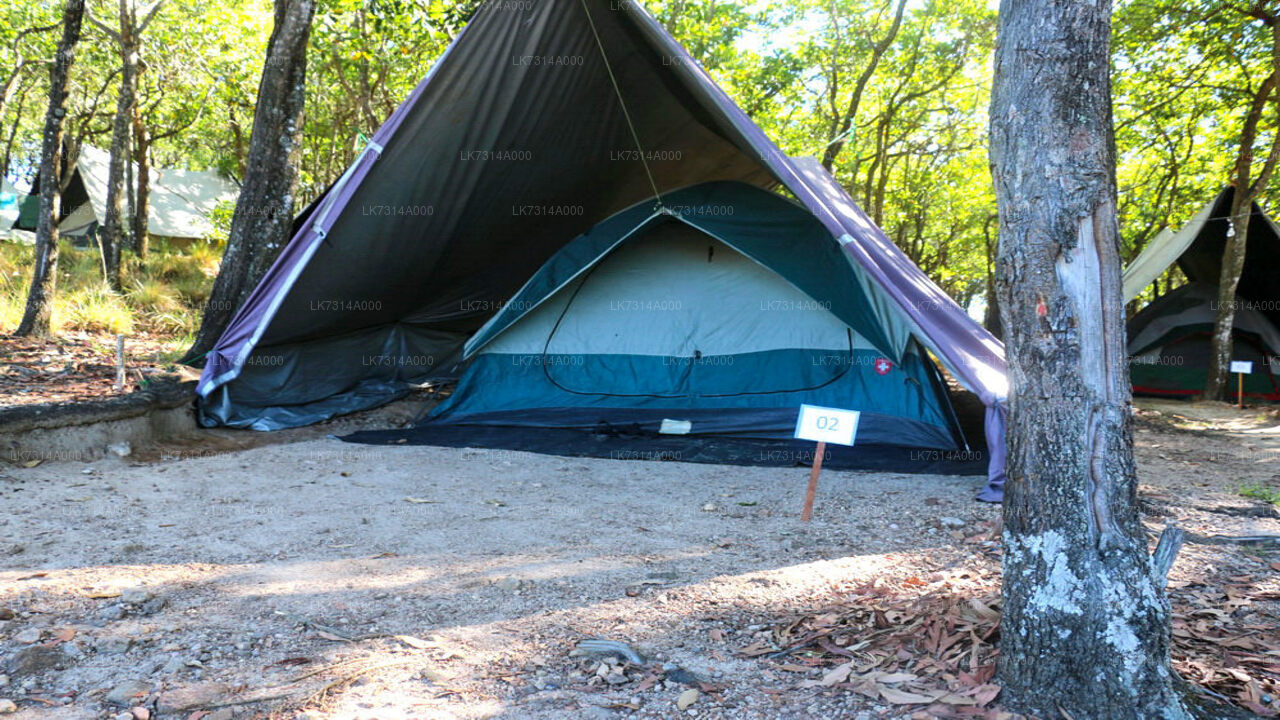 One Night Camping in Yala National Park