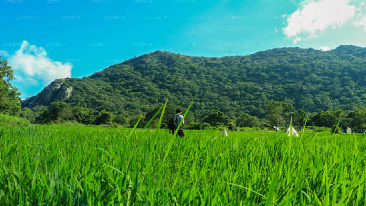 Campeggio a Kurunegala