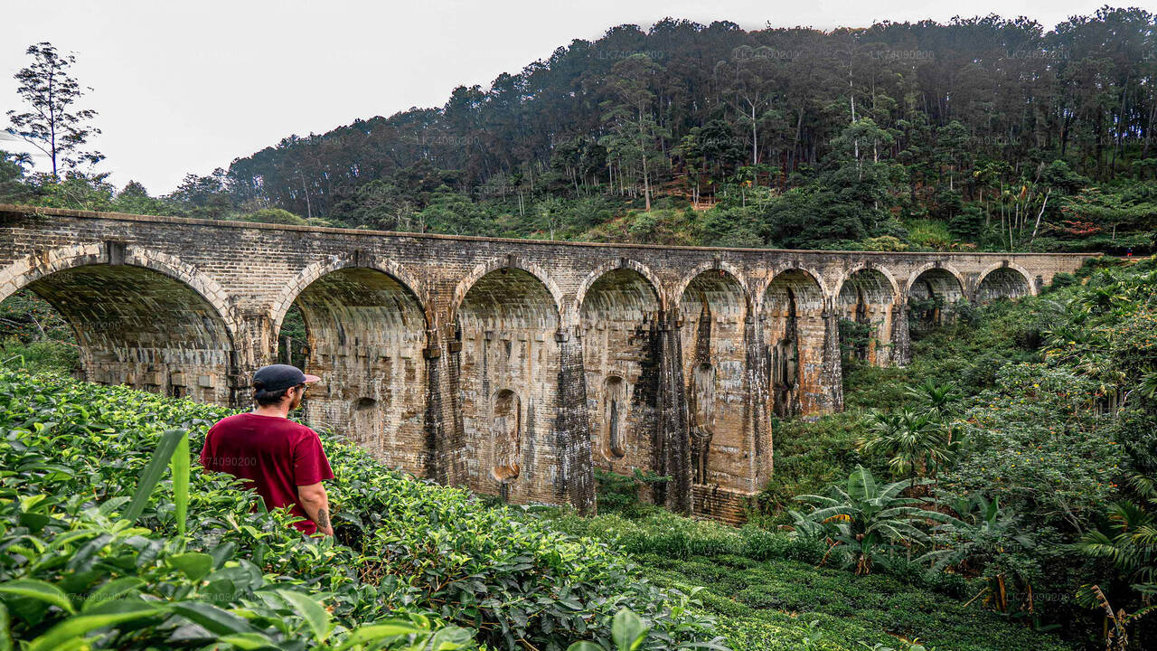 Fai un'escursione al Little Adam's Peak e al Nine Arches Bridge da Ella