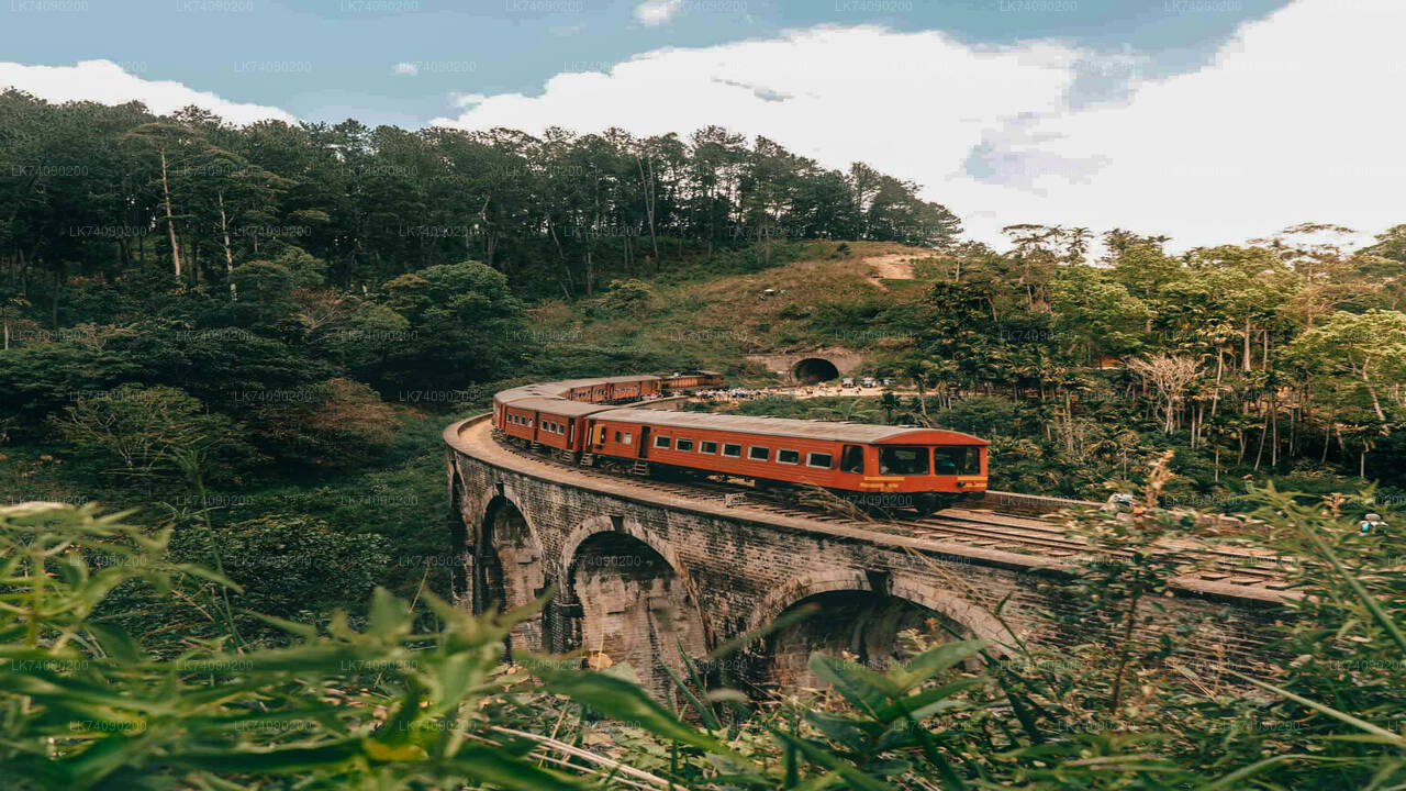 Fai un'escursione al Little Adam's Peak e al Nine Arches Bridge da Ella