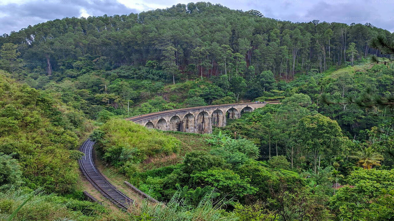 Fai un'escursione al Little Adam's Peak e al Nine Arches Bridge da Ella