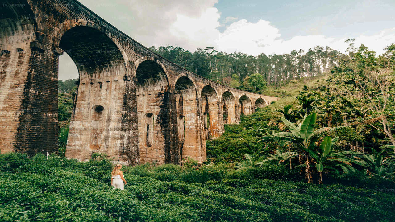 Fai un'escursione al Little Adam's Peak e al Nine Arches Bridge da Ella