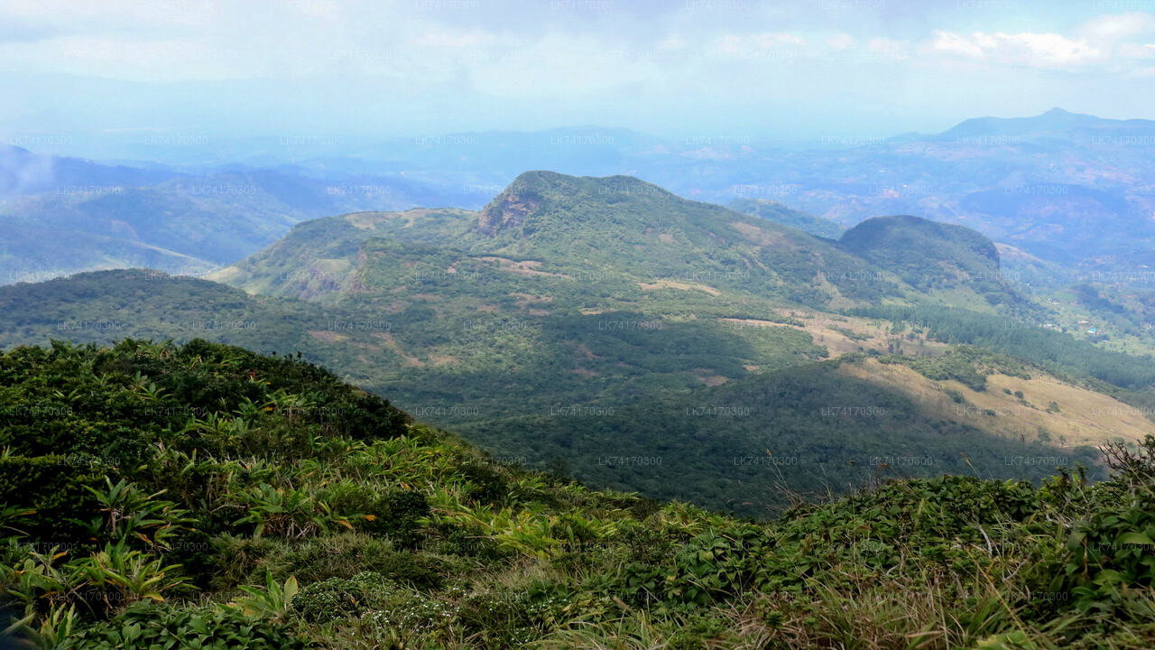 Knuckles Mountain Range Hike from Kandy