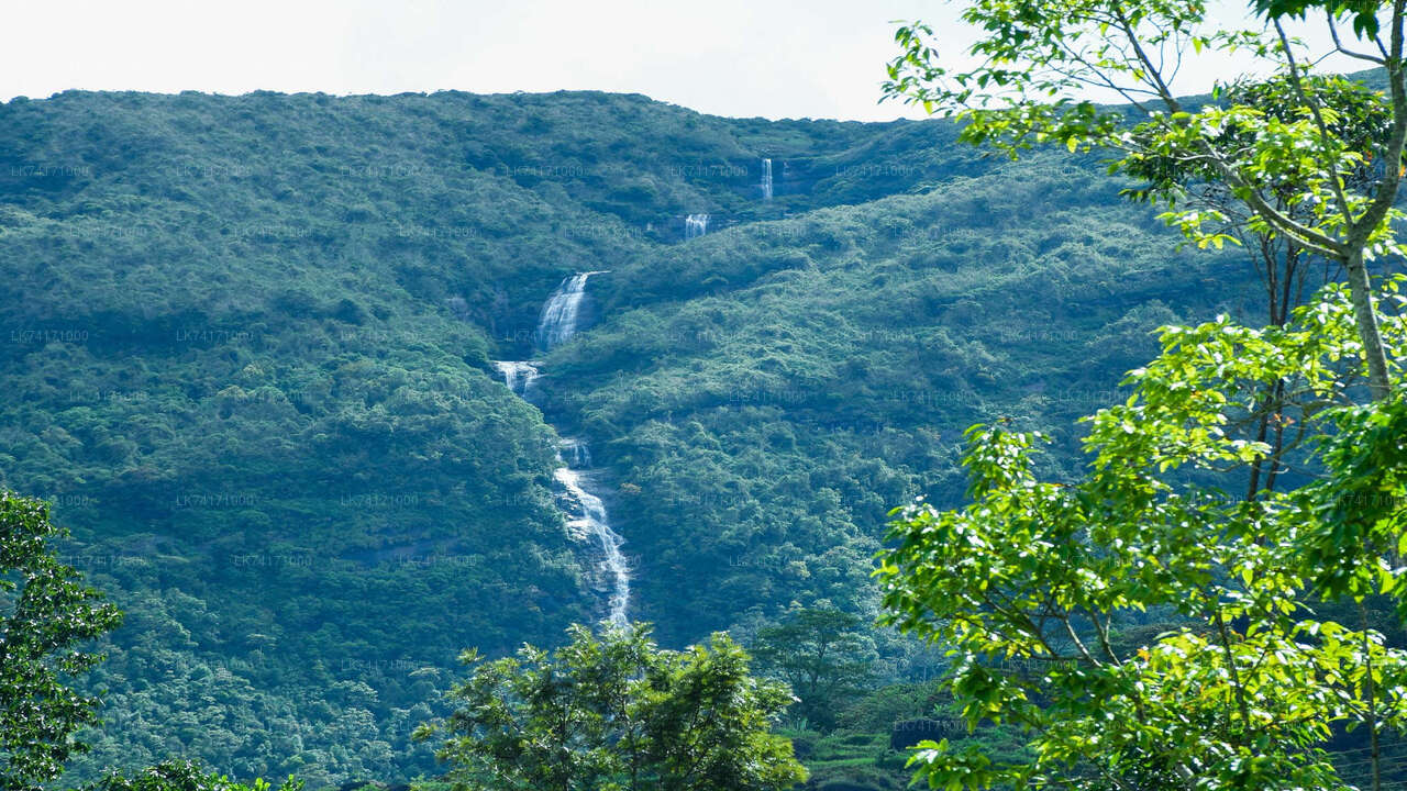 Kota Ganga Waterfall Hike from Kandy