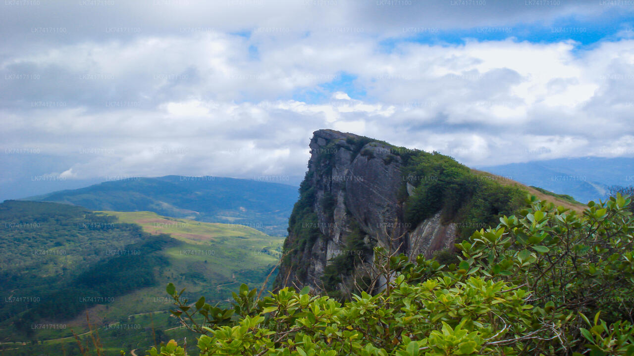 Trekking al villaggio di Heeloya da Kandy