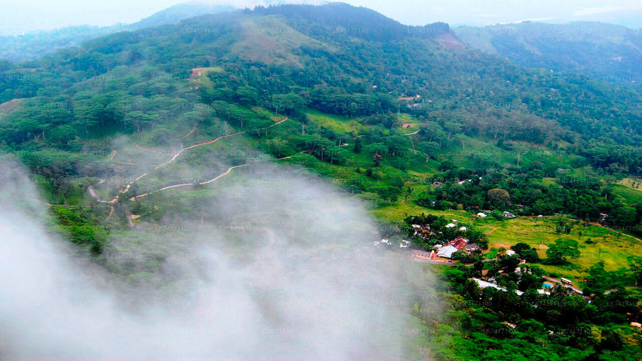 Trekking al villaggio di Heeloya da Kandy