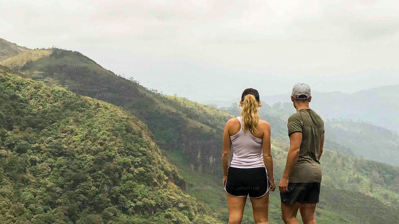 Trekking al villaggio di Heeloya da Kandy