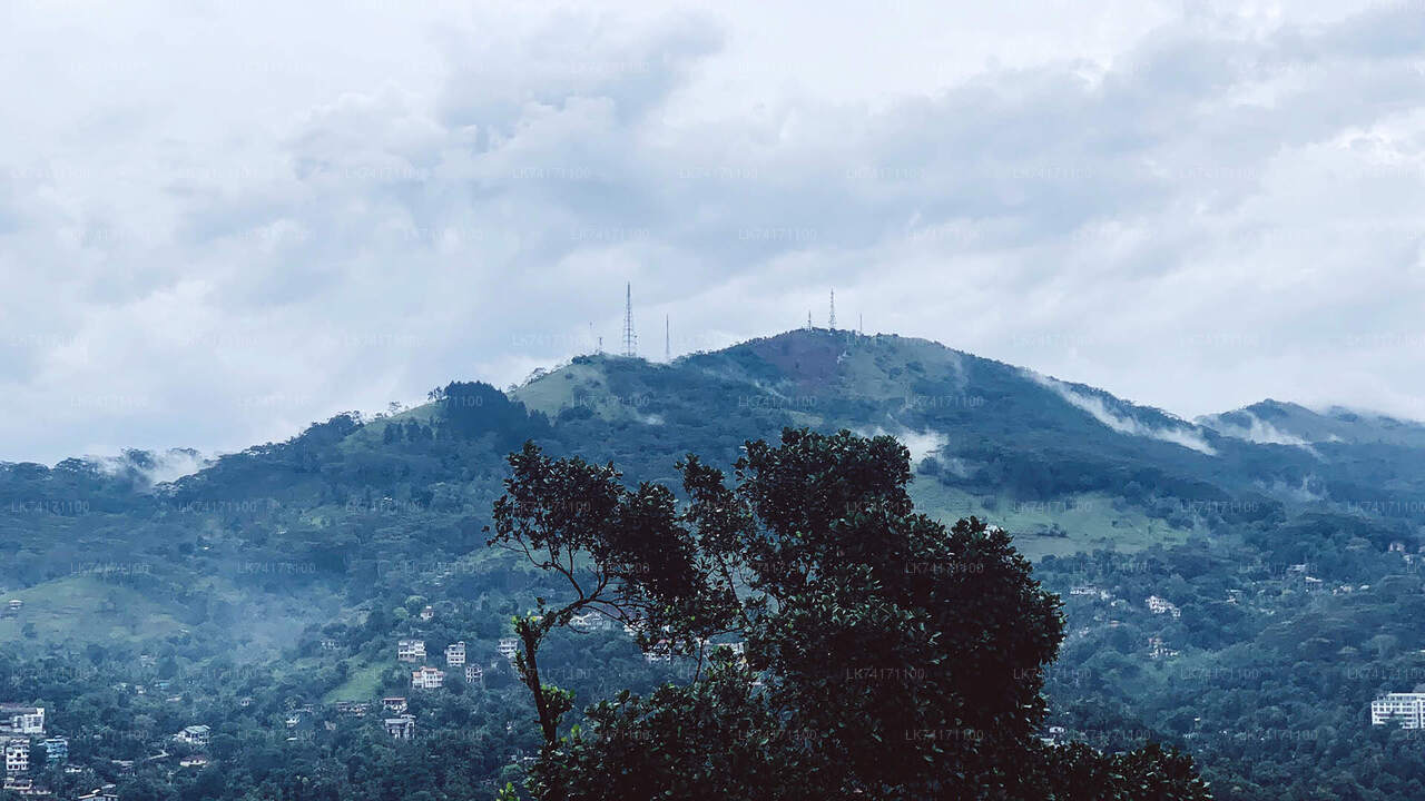 Trekking al villaggio di Heeloya da Kandy