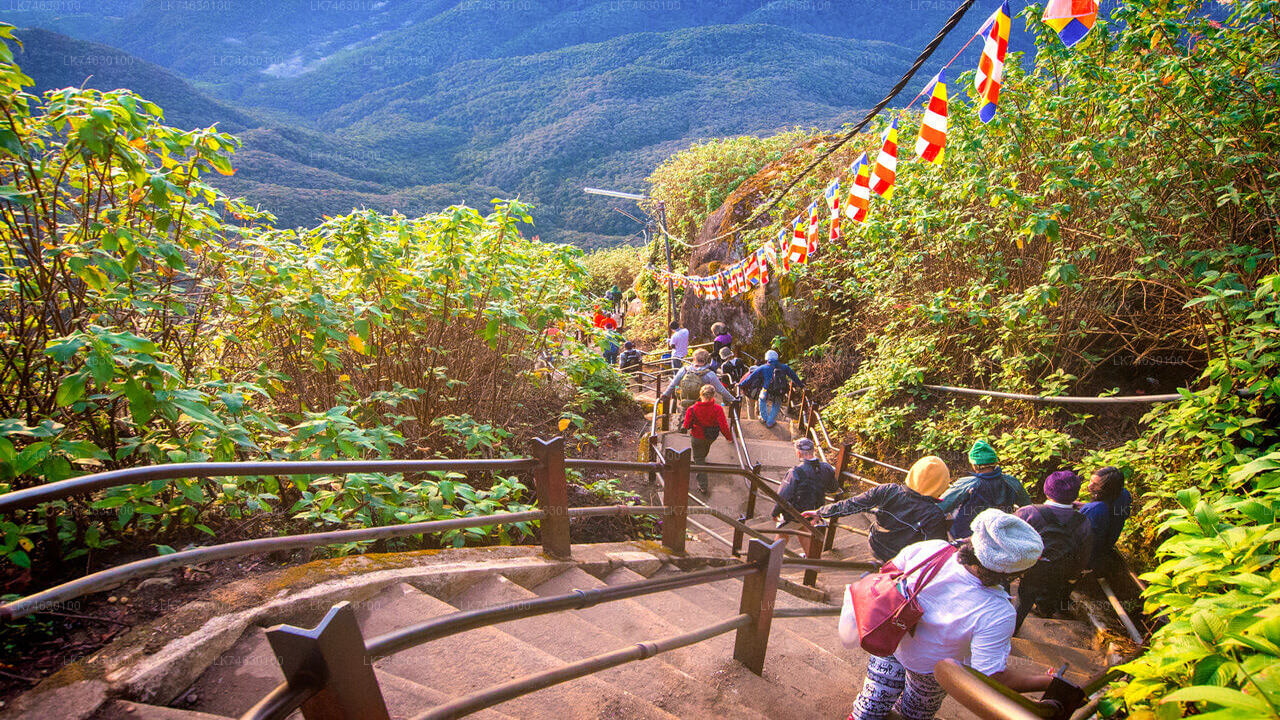 Night Hike to Adam's Peak from Nallathanniya