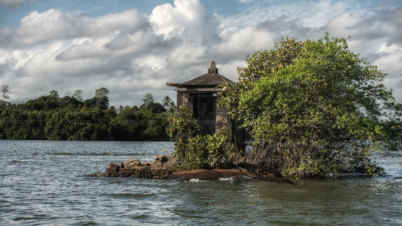 Madol Duwa Boat Safari