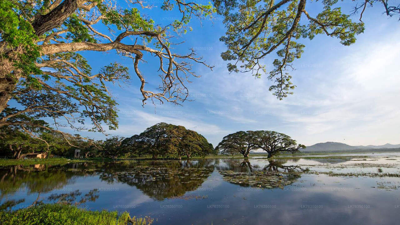 Giro in barca sul lago Tissamaharama