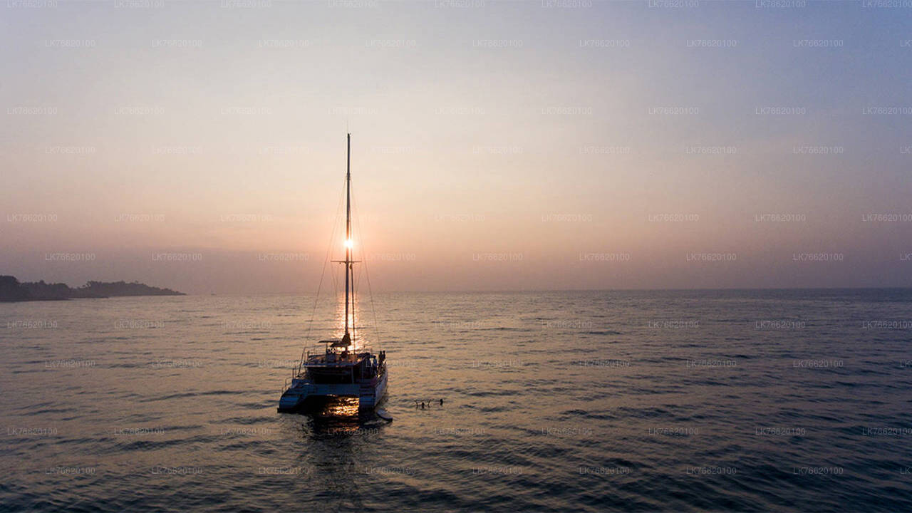 Whale Watching Boat Tour from Talpe