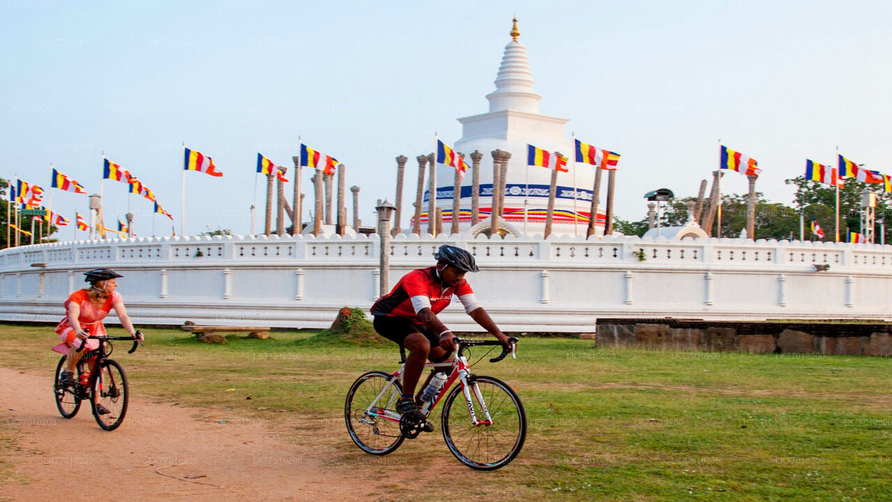 Dutch Footprints Cycling Tour from Colombo