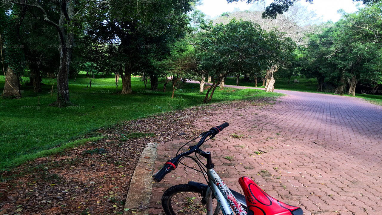 In bicicletta da Anuradhapura