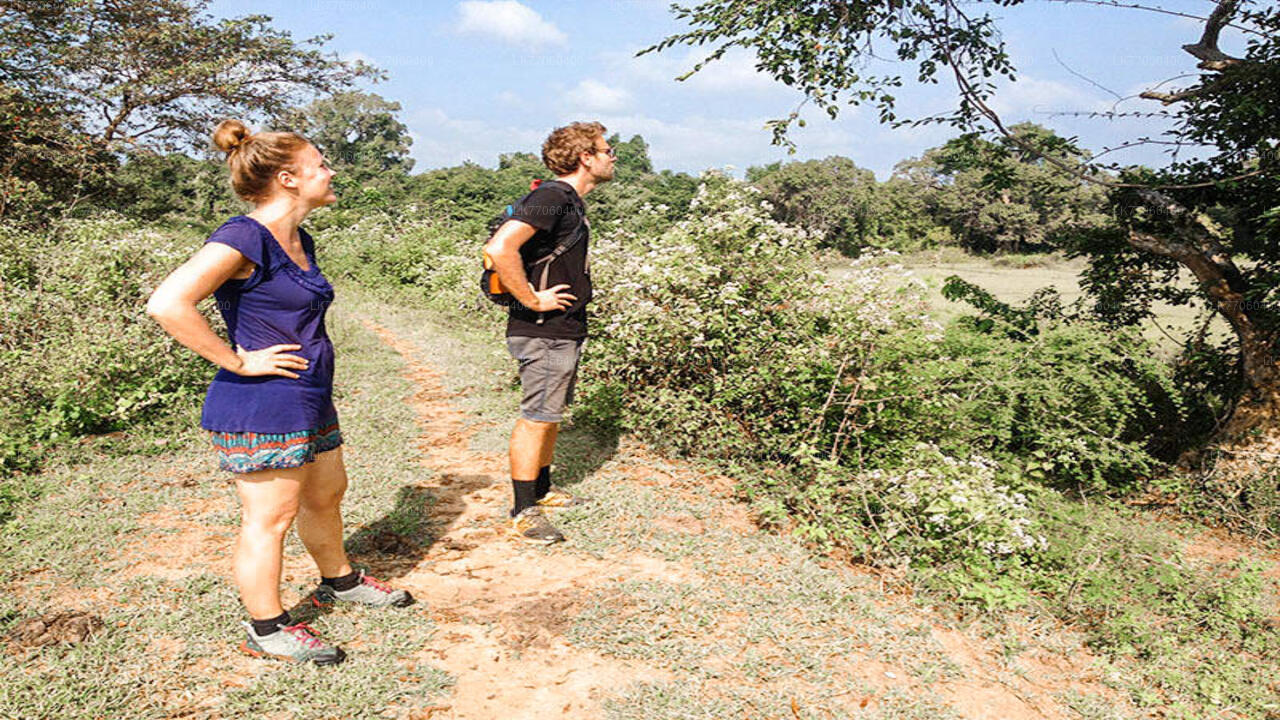 Rajanganaya Village Cycling Tour from Anuradhapura