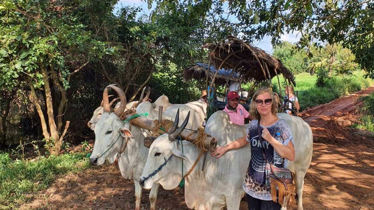 Rajanganaya Village Cycling Tour from Anuradhapura