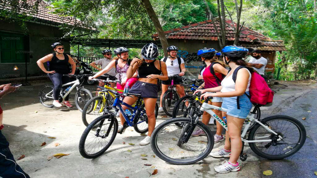 Scopri l'antica Ella in bicicletta da Ella