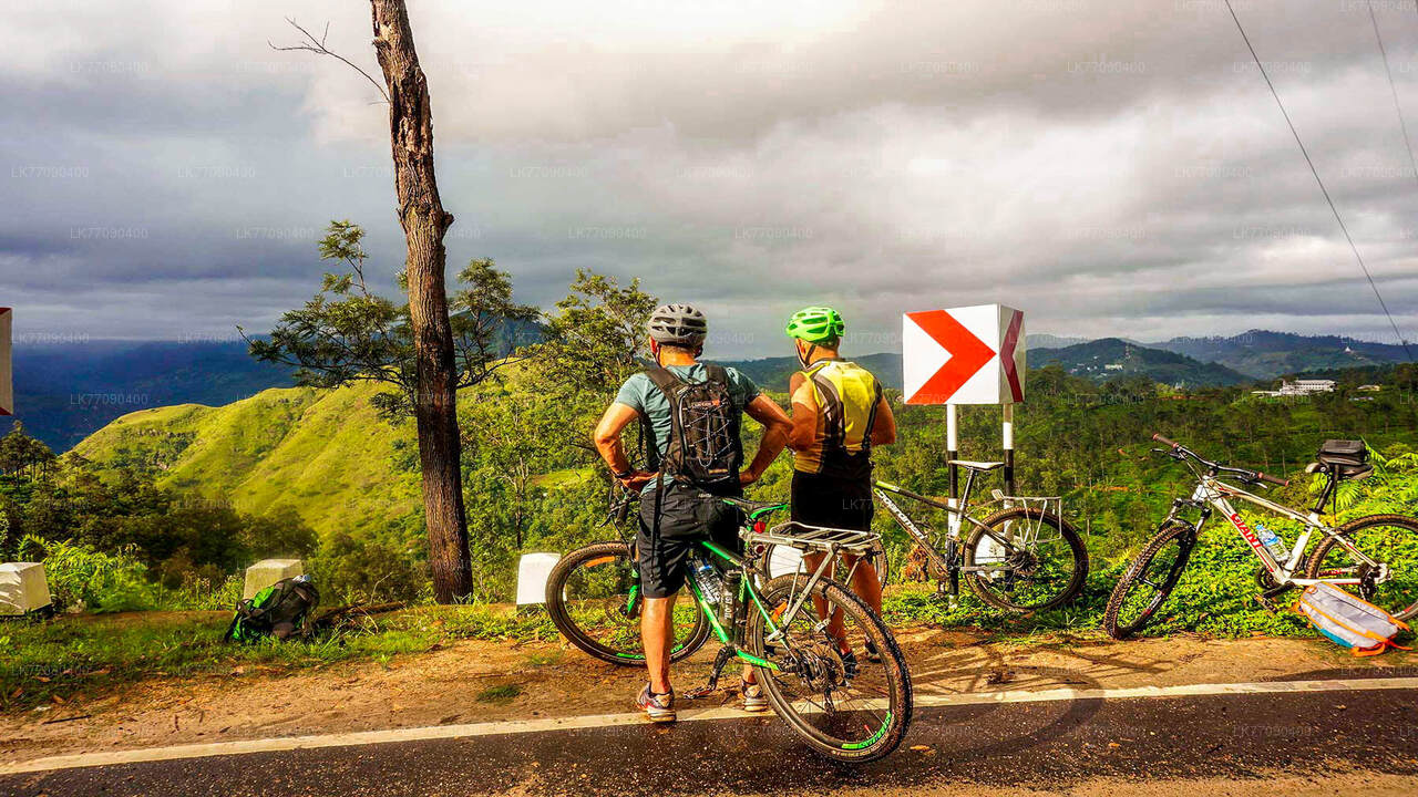 Scopri l'antica Ella in bicicletta da Ella