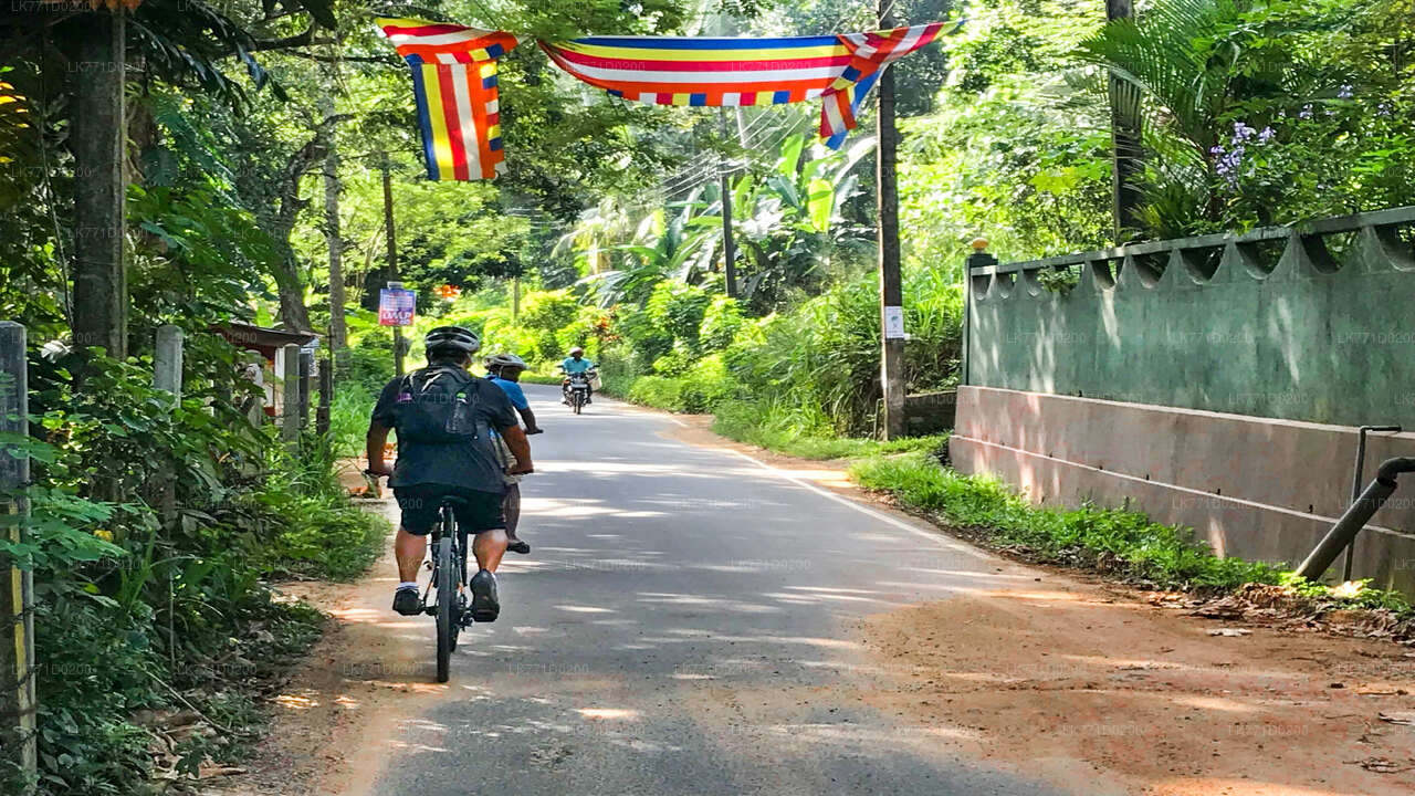 Belilena Cave Cycling Tour from Kitulgala