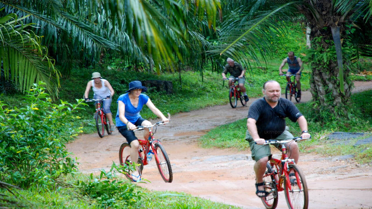 Cycle to Belilena Cave from Kitulgala