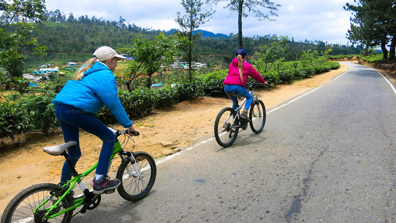 Cycling from Nuwara Eliya