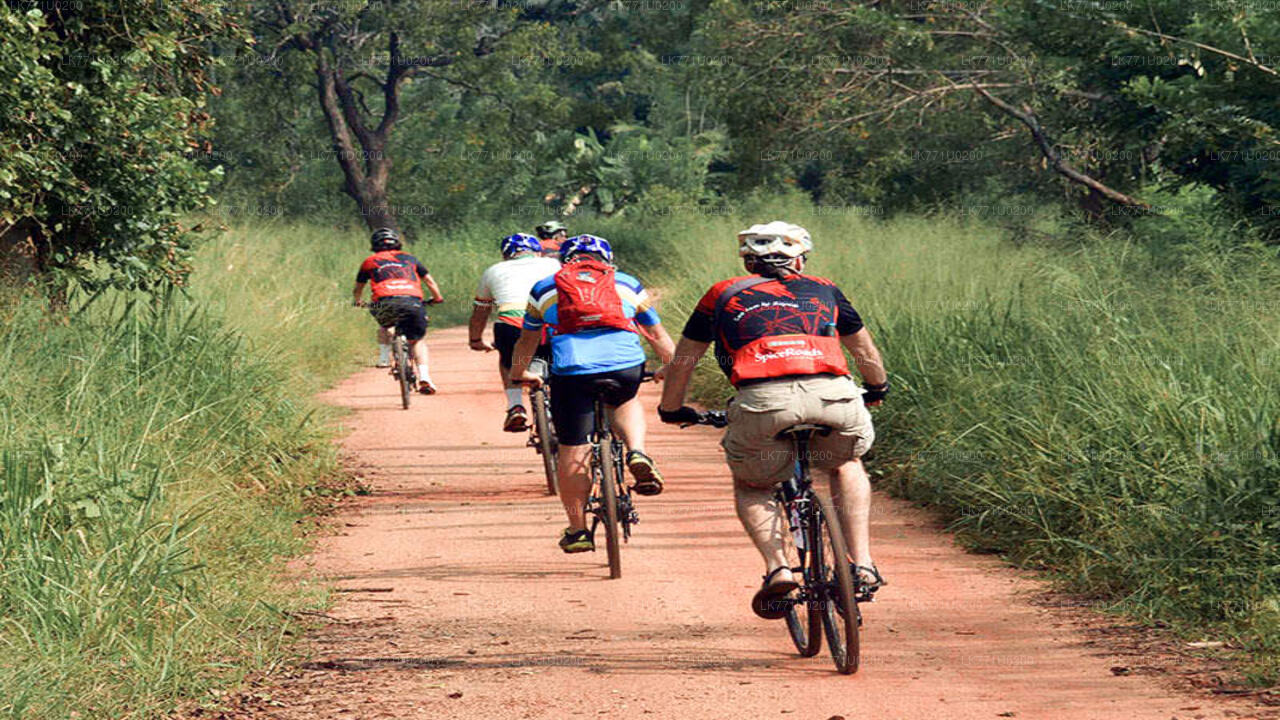 Countryside Cycling from Polonnaruwa