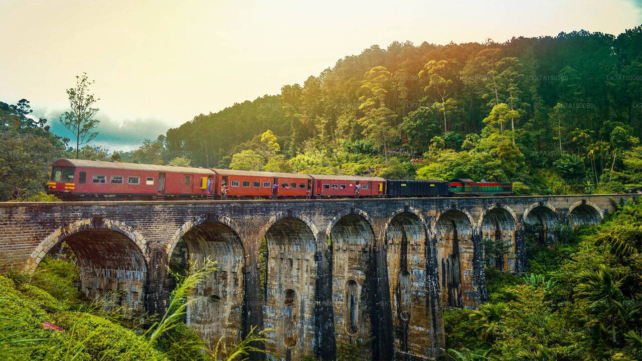 Viaggio in treno da Colombo a Ella (treno n. 1015 «Udarata Menike»)