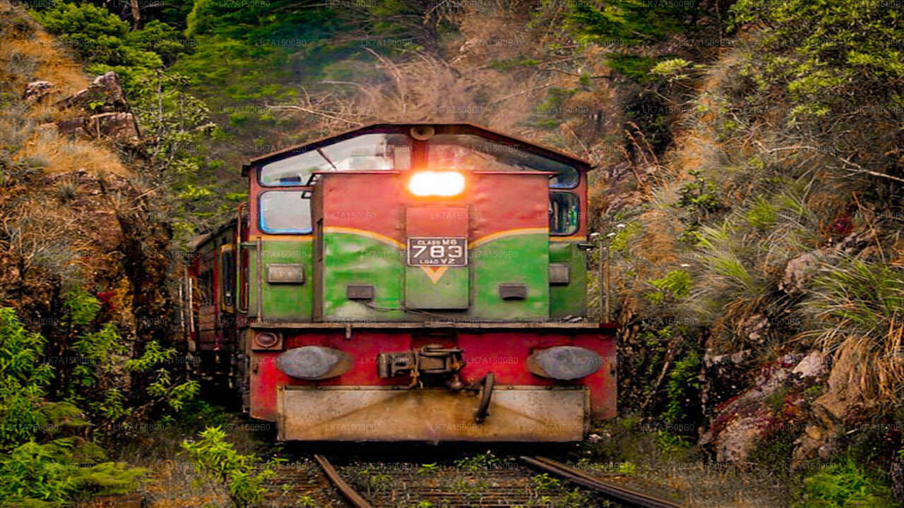 Viaggio in treno da Colombo a Ella (treno n. 1015 «Udarata Menike»)