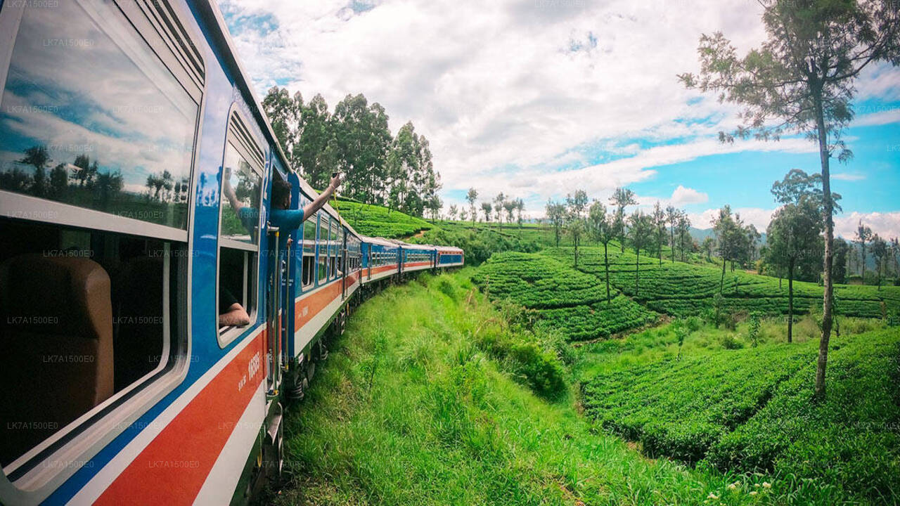 Viaggio in treno da Colombo a Ella (treno n. 1001 «Denuwara Menike»)