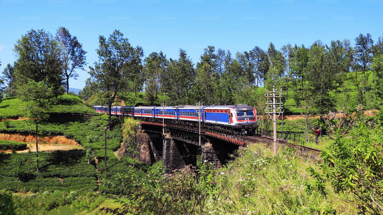 Viaggio in treno da Peradeniya a Ella (treno n. 1001 «Denuwara Menike»)