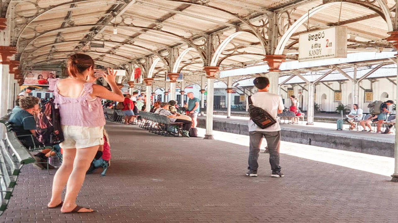 Viaggio in treno da Nanu Oya a Ella (treno n. 1005 «Podi Menike»)