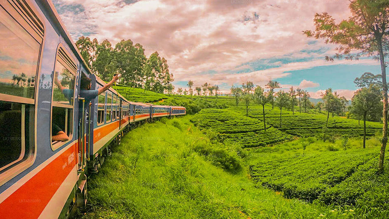 Proseguimento in treno da Ella a Peradeniya (treno n. 1002 «Denuwara Menike»)