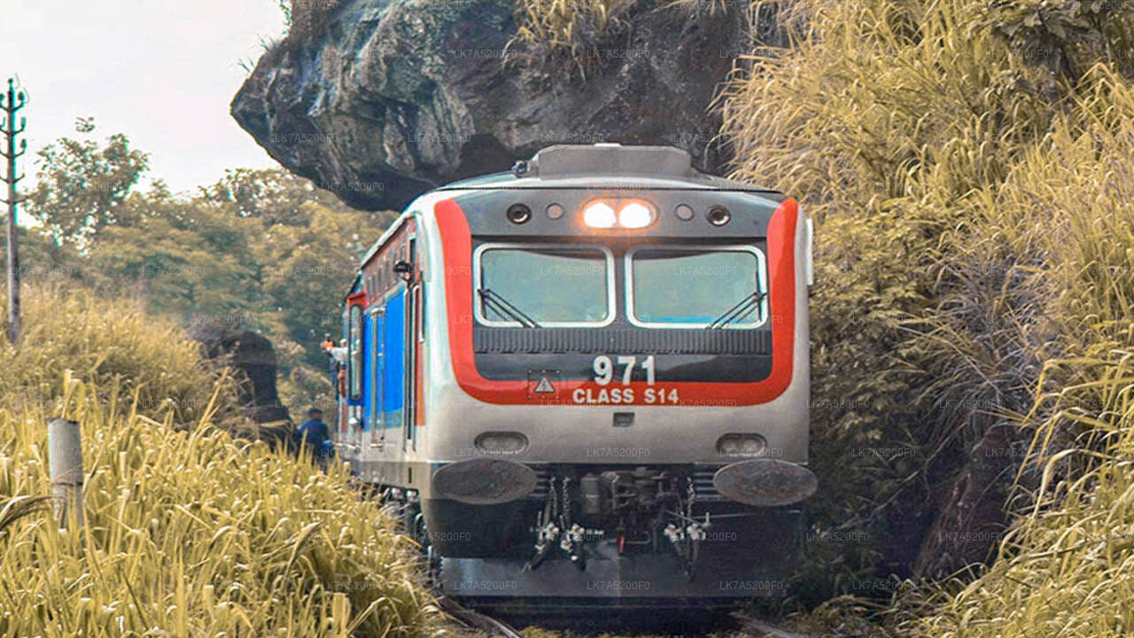 Proseguimento in treno da Ella a Peradeniya (treno n. 1002 «Denuwara Menike»)