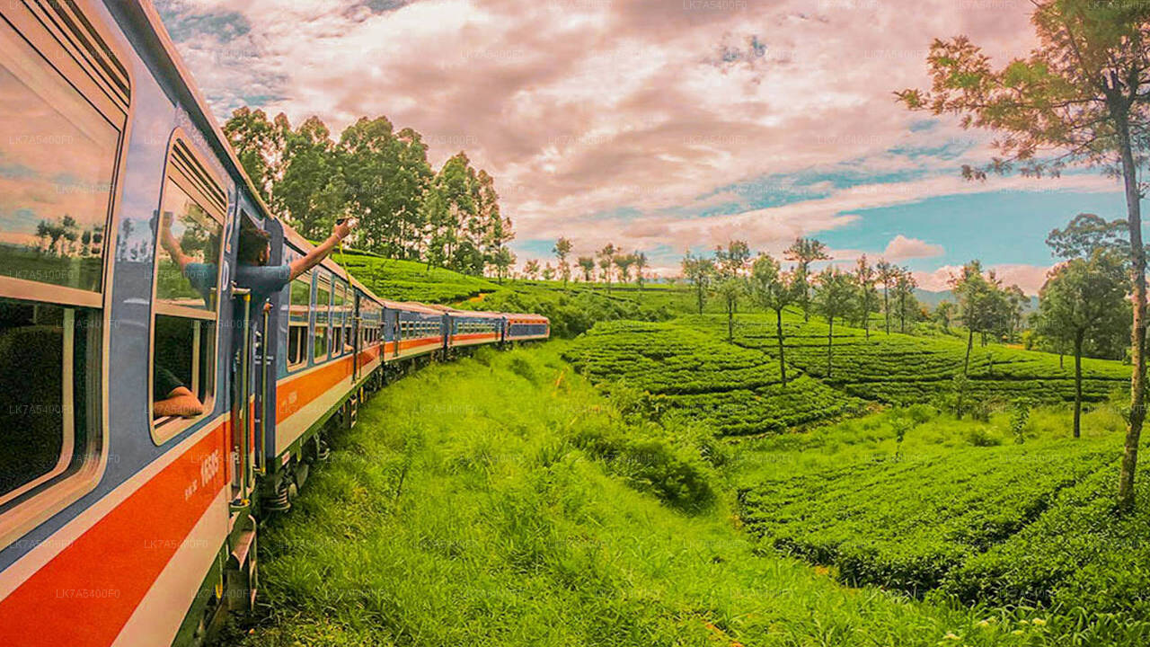 Ella to Nanu Oya train ride on (Train No: 1002 "Denuwara Menike")