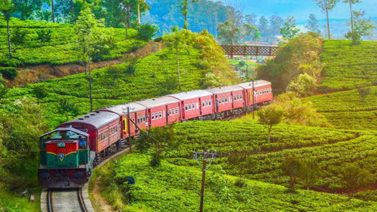 Badulla to Colombo train ride on (Train No: 1016 "Udarata Menike")