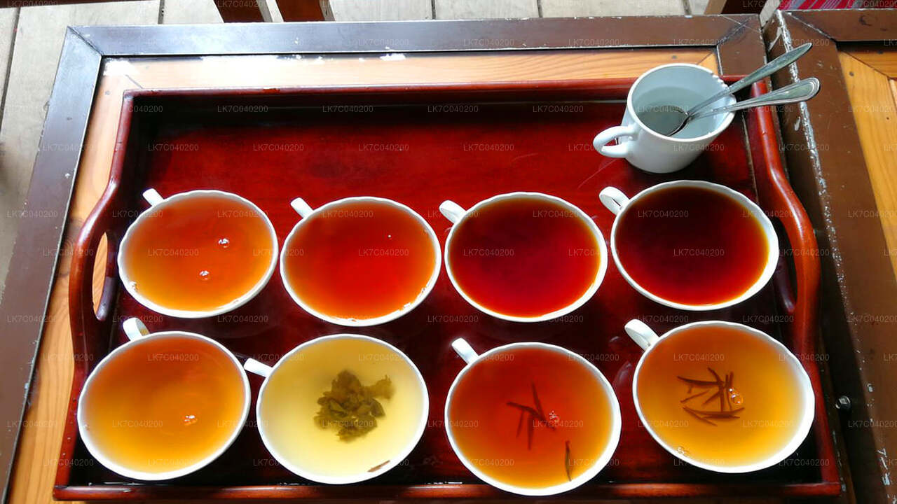 Degustazione di tè di Ceylon da Galle