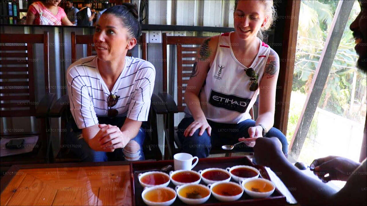 Ceylon Tea Tasting from Kandy