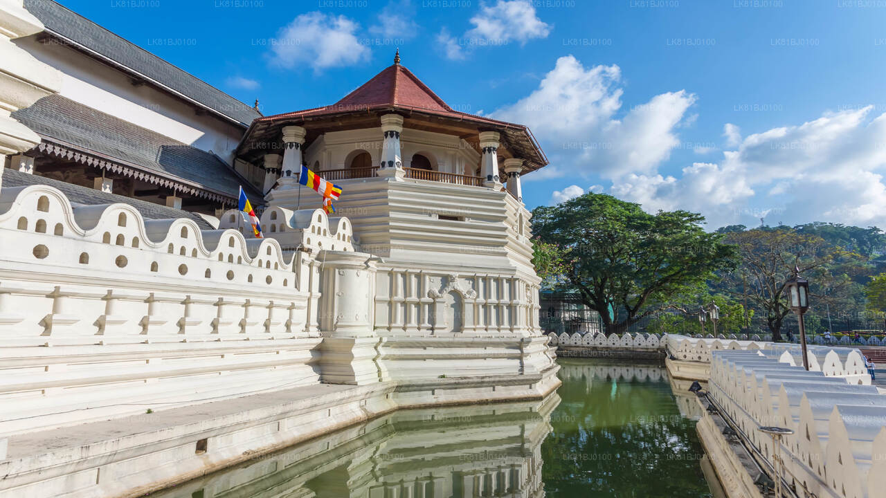 Tour della città di Kandy dal porto di Colombo