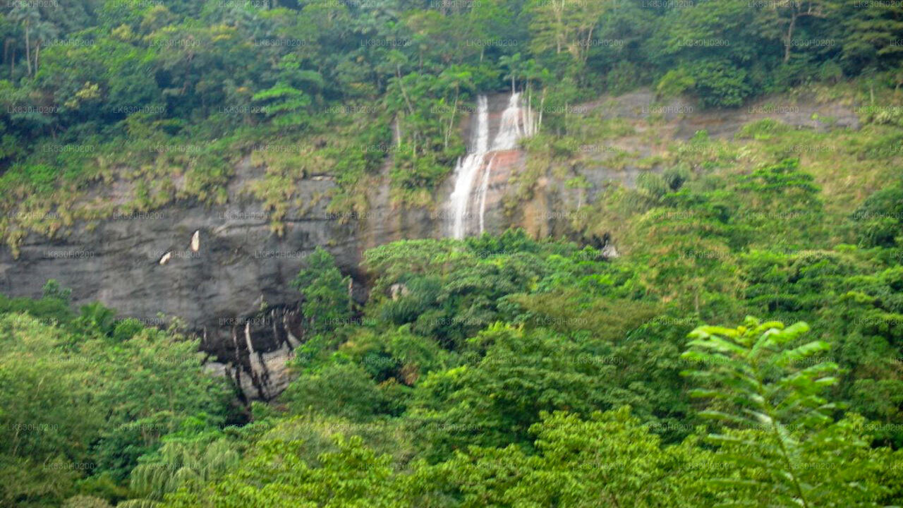 Esplora la grotta di Belilena da Colombo