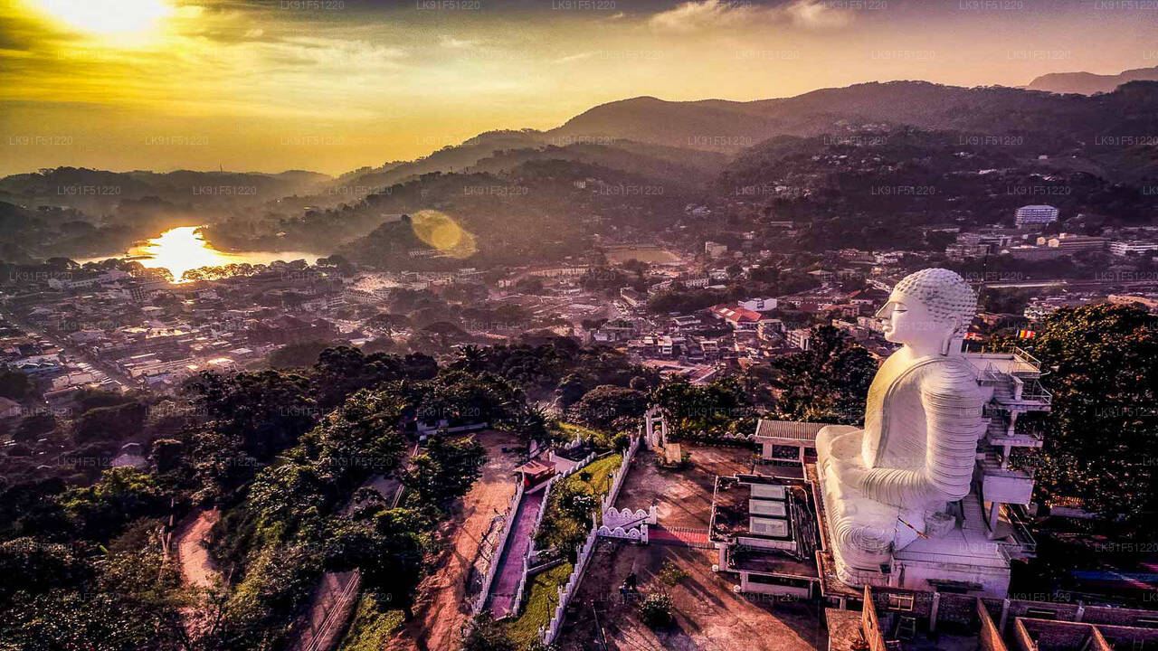 Discover Kandy by Helicopter from Koggala