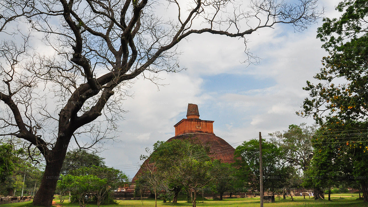 Esperienza spirituale da Anuradhapura