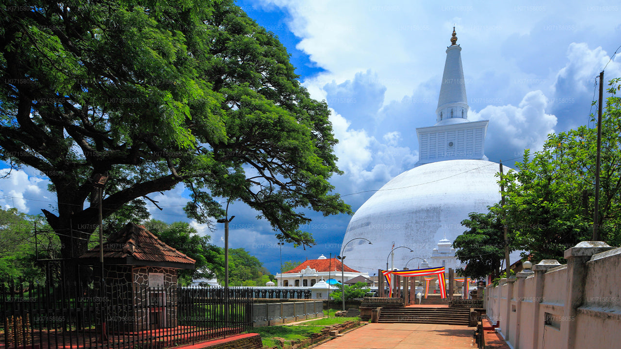 Esperienza spirituale da Anuradhapura