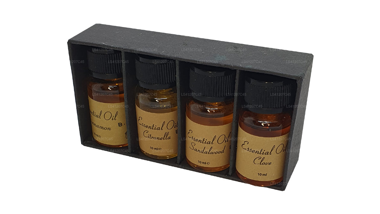 Confezione di oli essenziali Siddhalepa (4 x 10 ml)