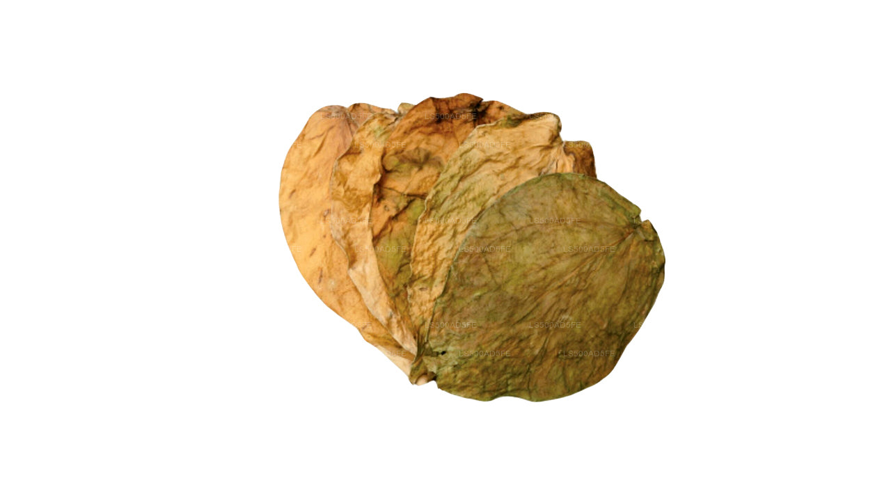 Lakpura Dehydrated Herbal Betel Leaves (500 Leaves) Pack