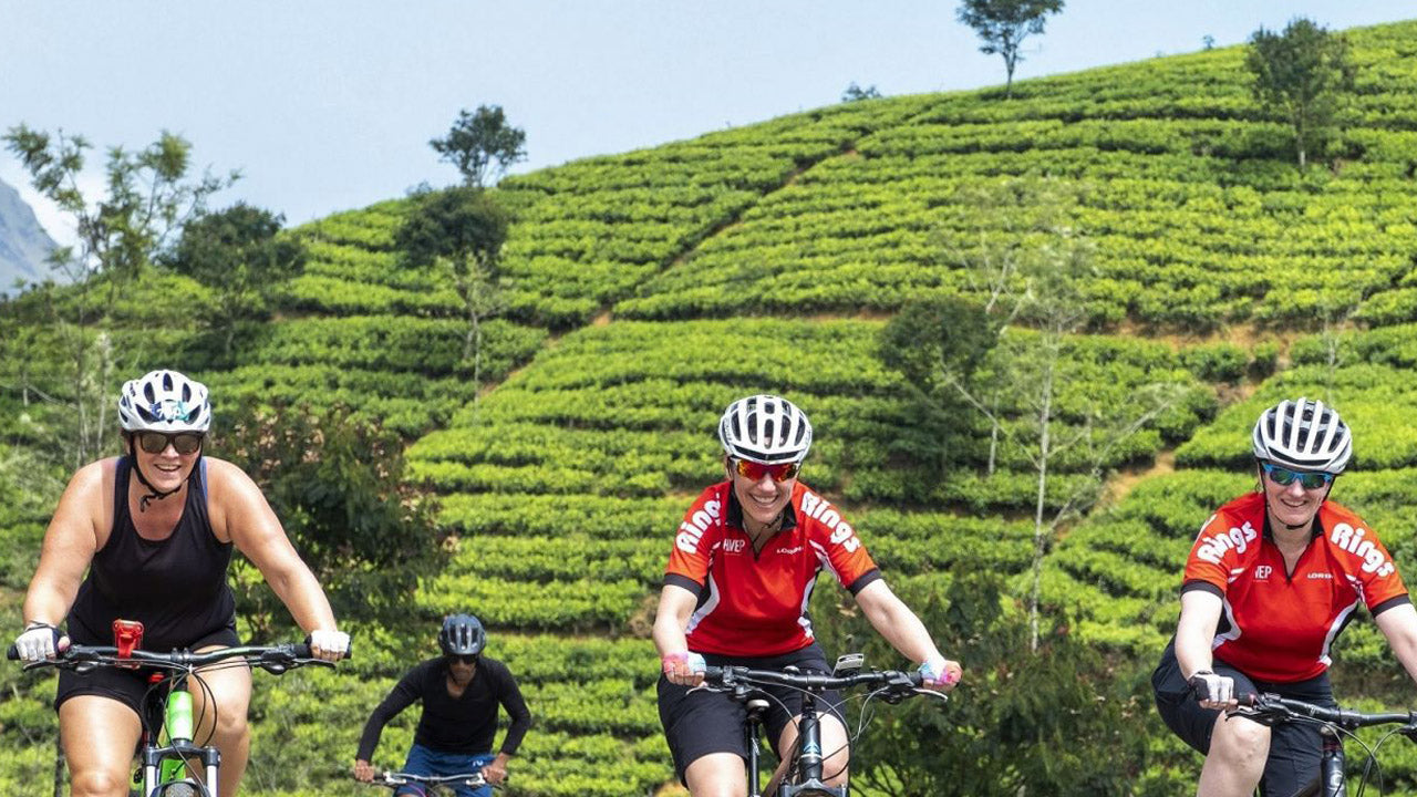 Tour in bicicletta delle Highlands di Nuwara Eliya da Kandy